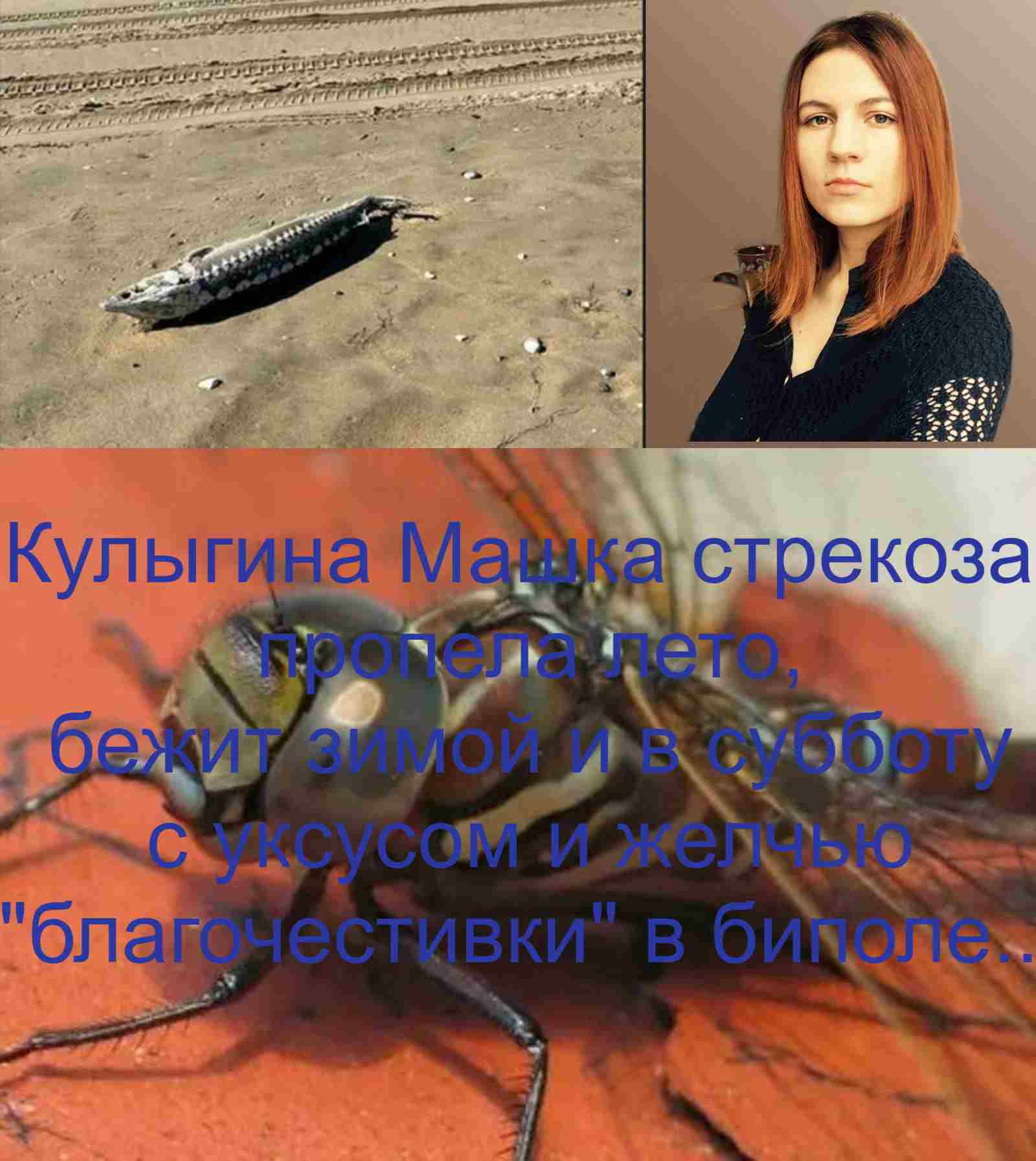 Изображение без подписи