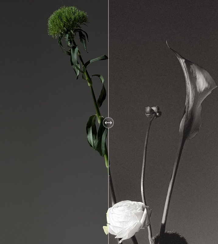 Изображение без подписи