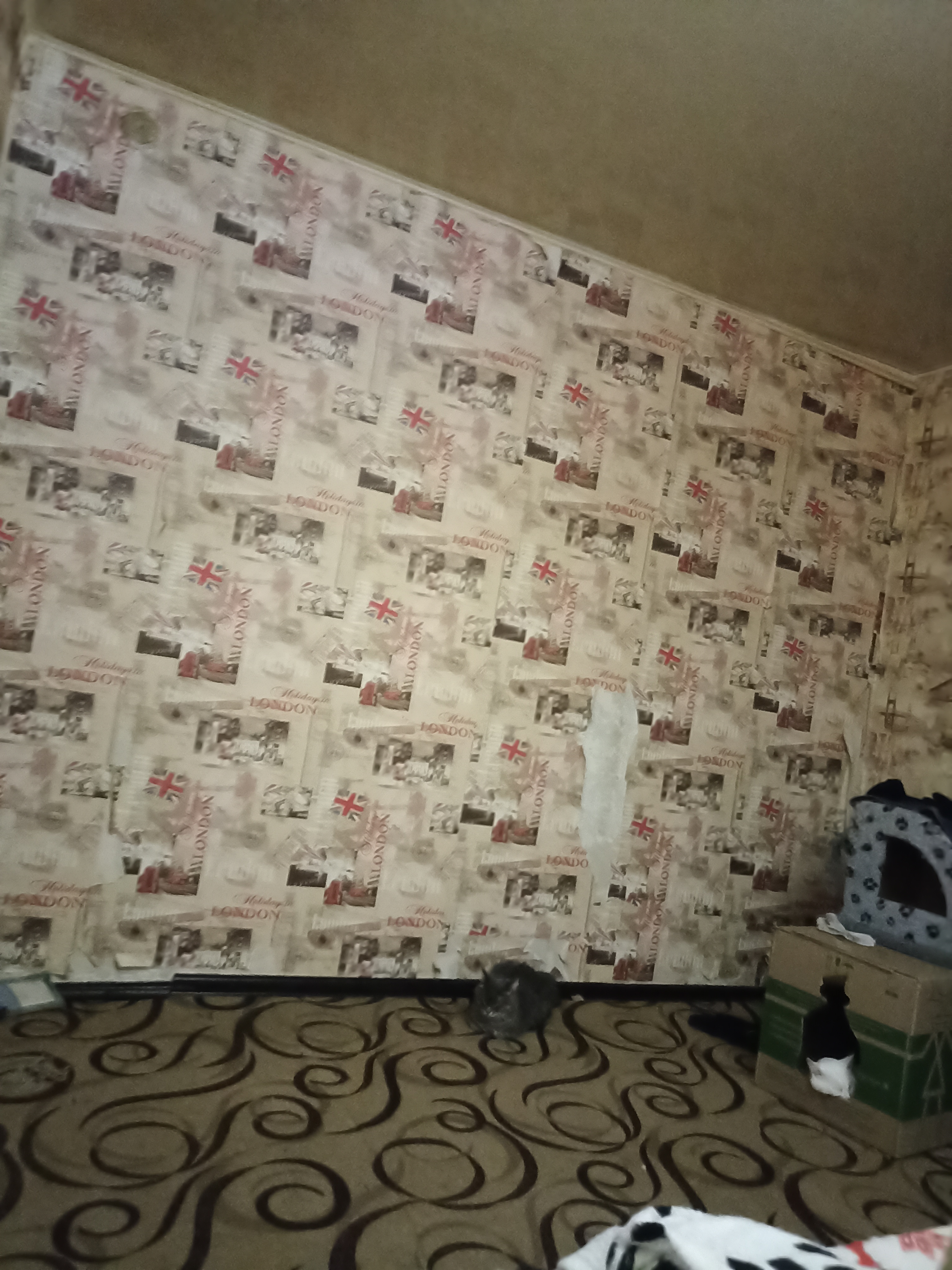 Изображение без подписи