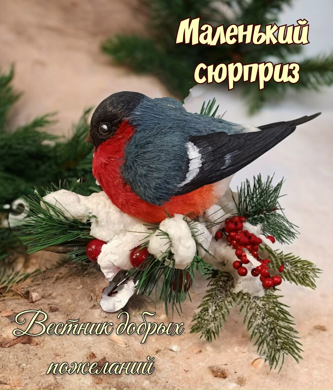 Изображение без подписи