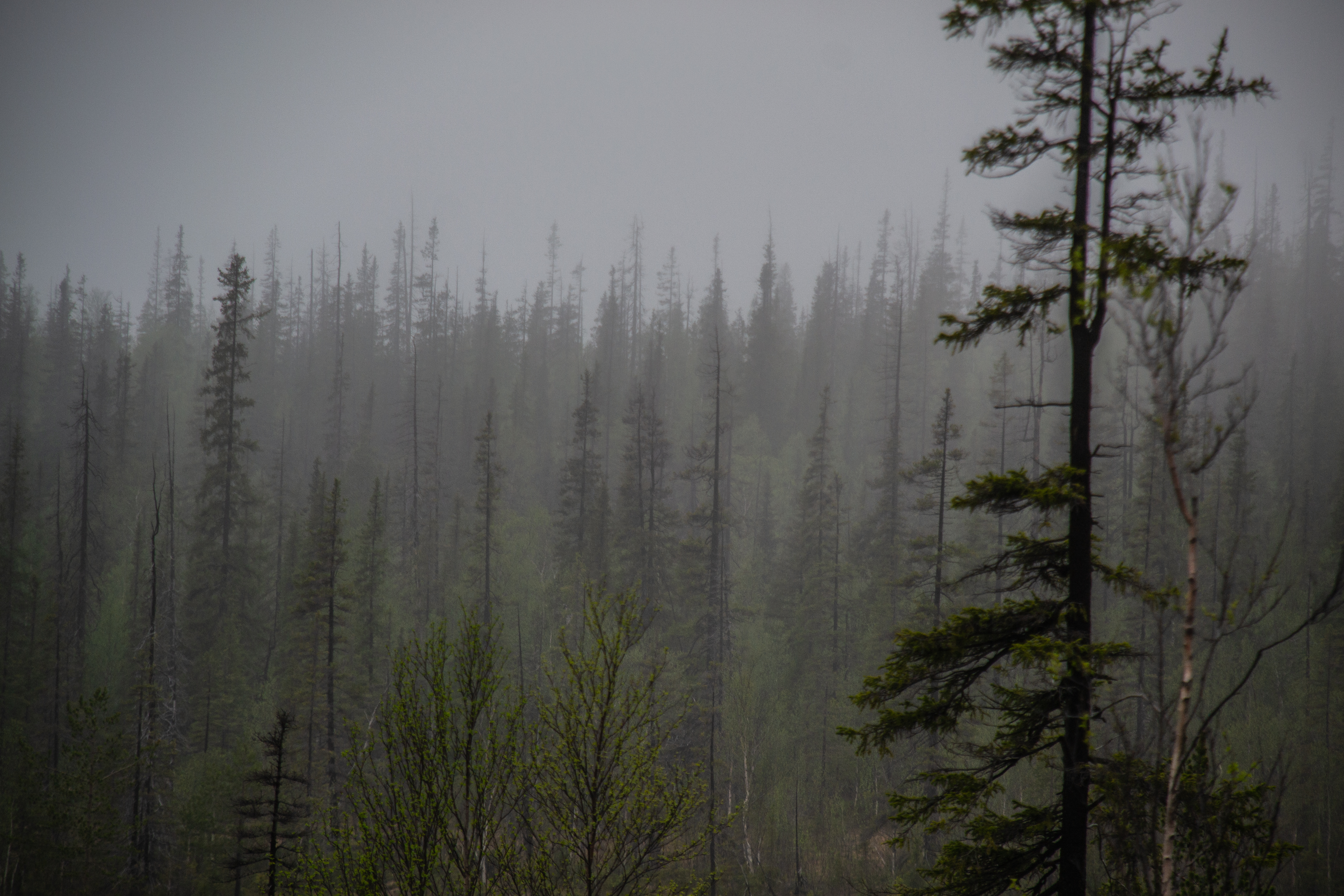 Изображение без подписи