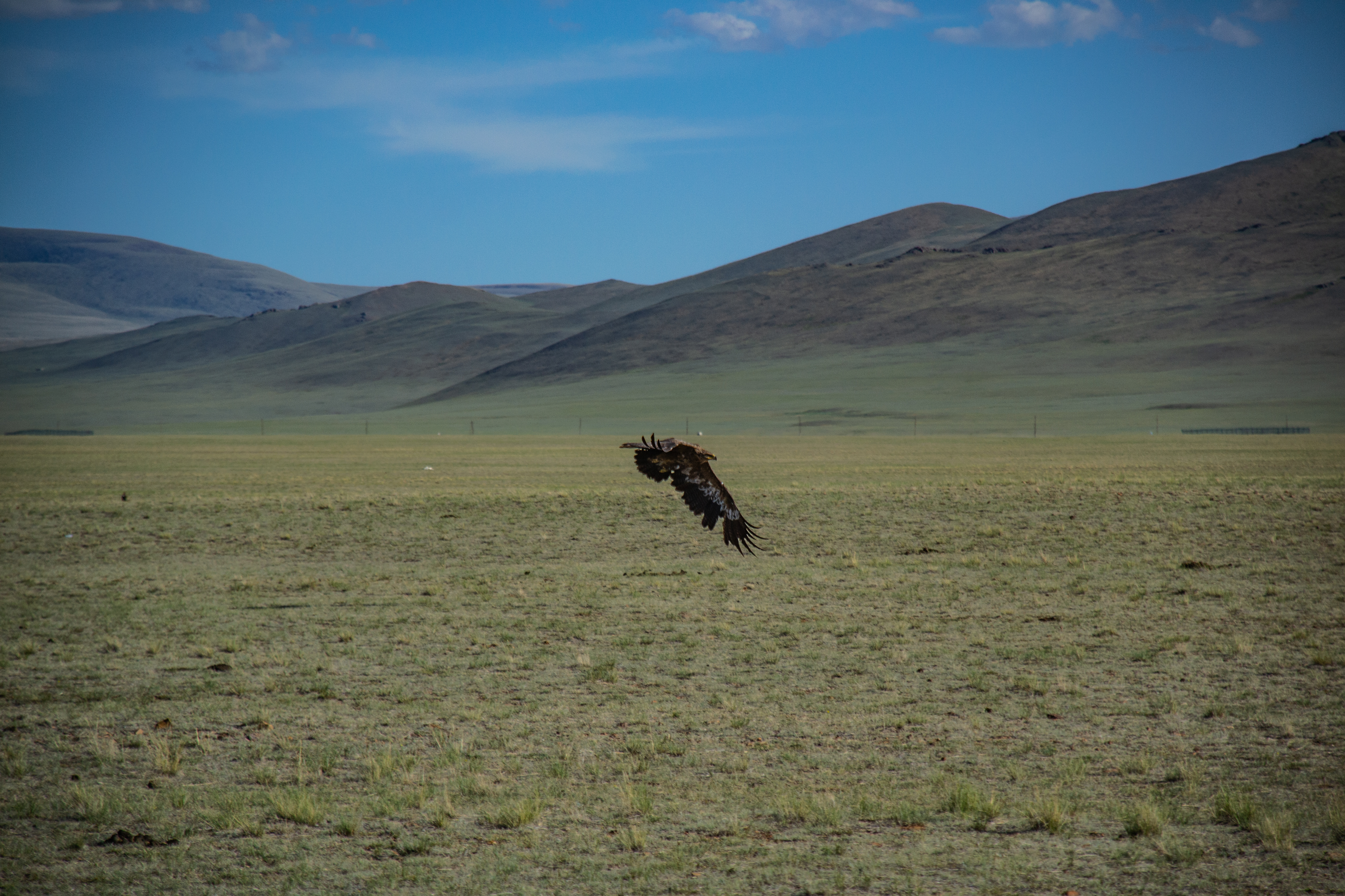 Изображение без подписи