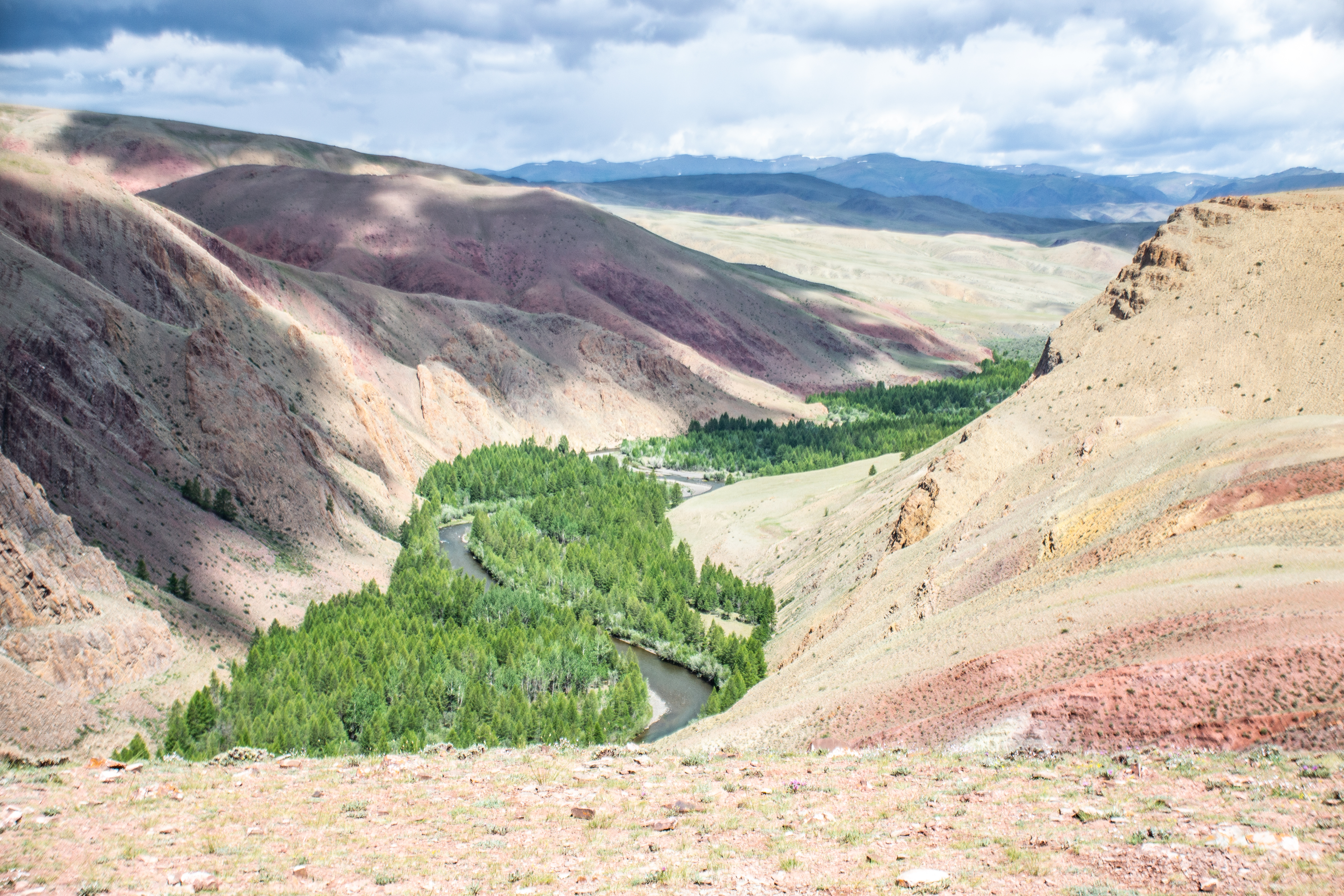 Изображение без подписи