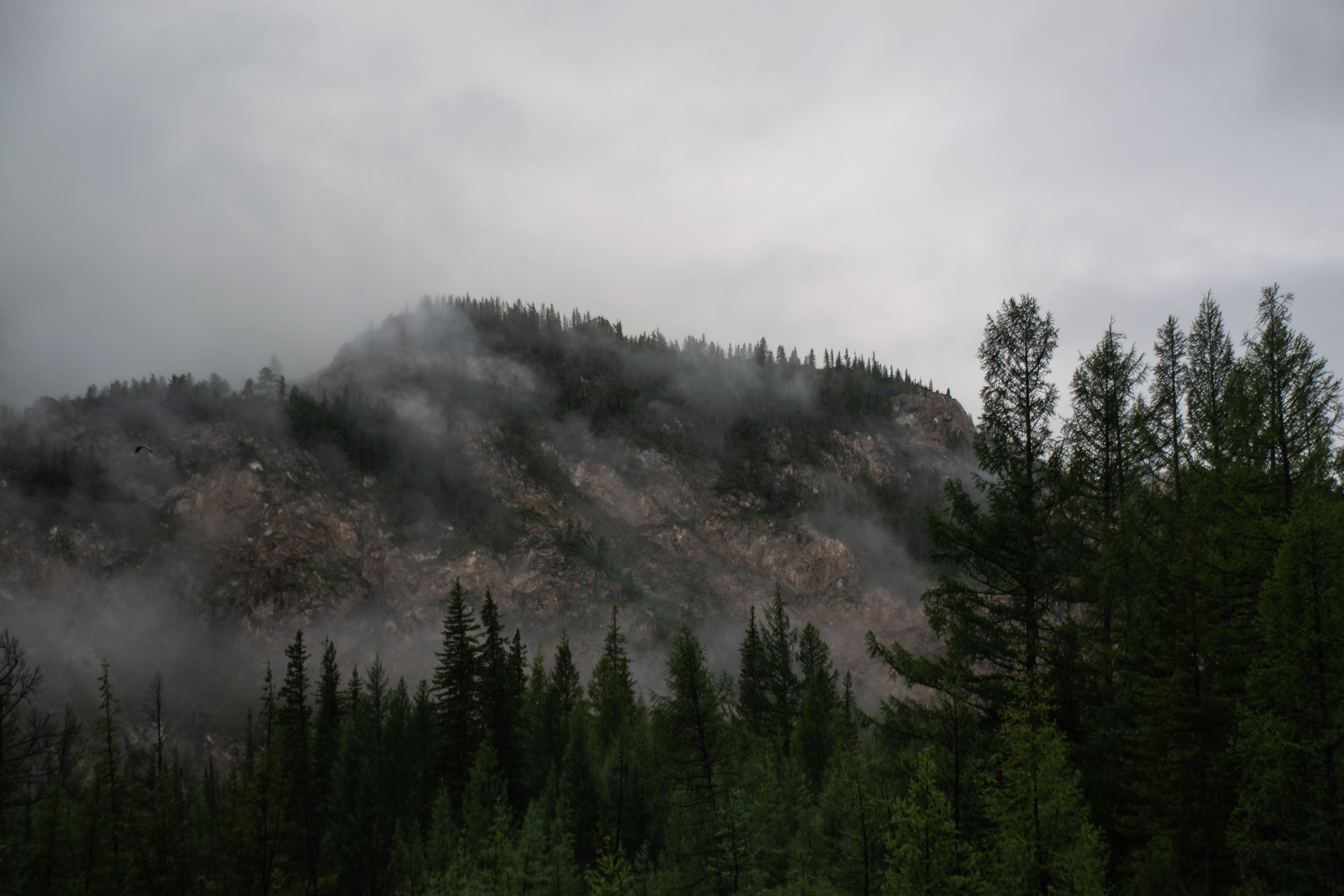 Изображение без подписи