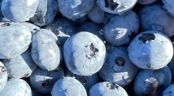 Изображение без подписи