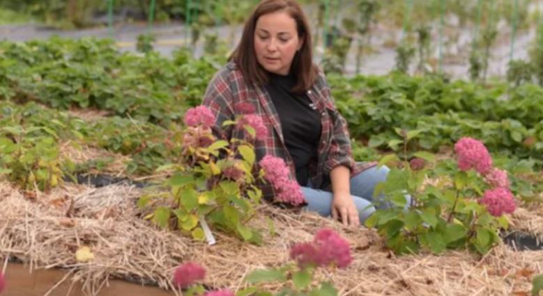 Изображение без подписи