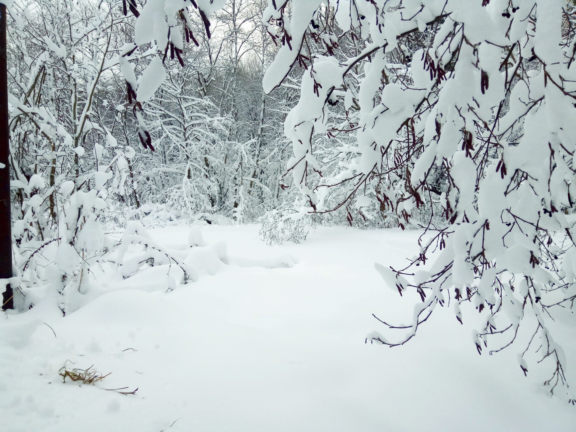 Изображение без подписи