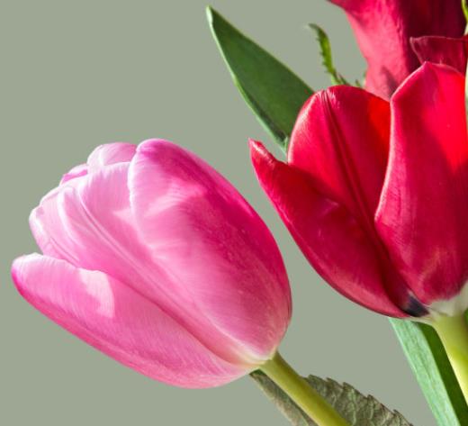 Изображение без подписи