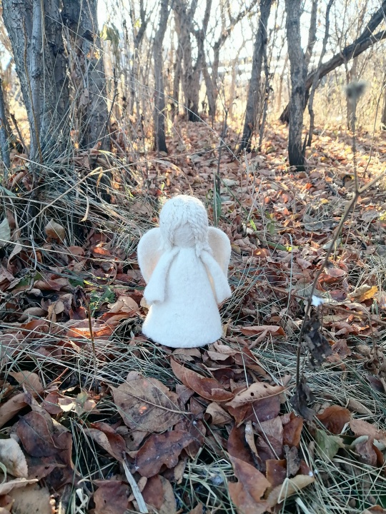 Изображение без подписи