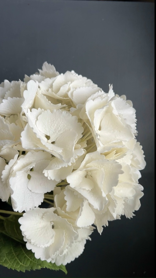 Изображение без подписи