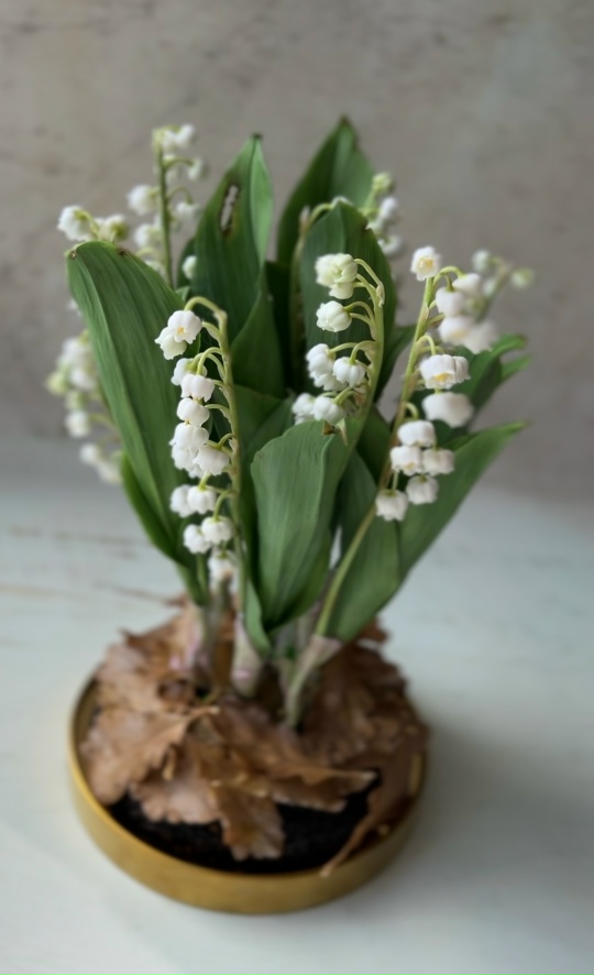 Изображение без подписи