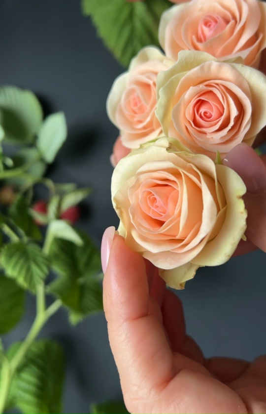 Изображение без подписи