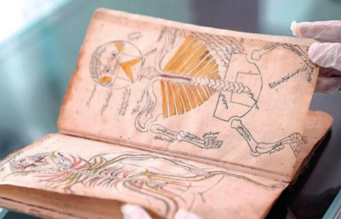 Изображение без подписи