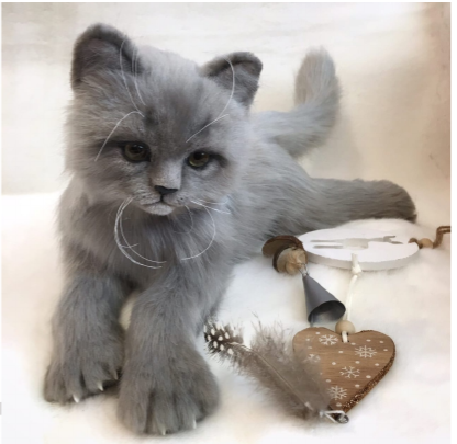 Изображение без подписи