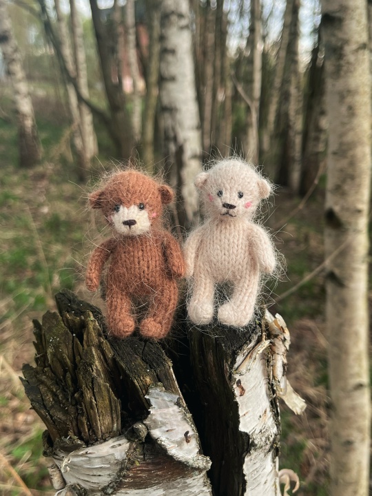 Изображение без подписи