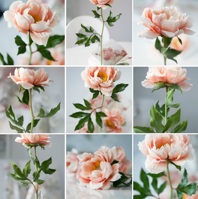 Изображение без подписи